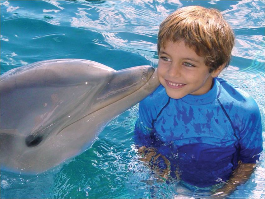 Dolphin Encounter at Ocean World, Puerto Plata - Key Points