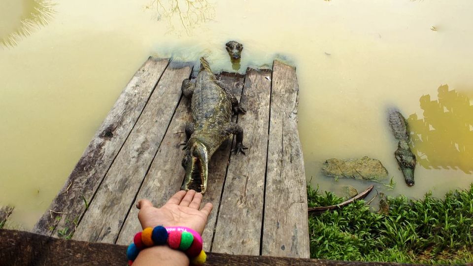 From Iquitos: 3-Day Amazon Jungle Adventure Trip - Key Points