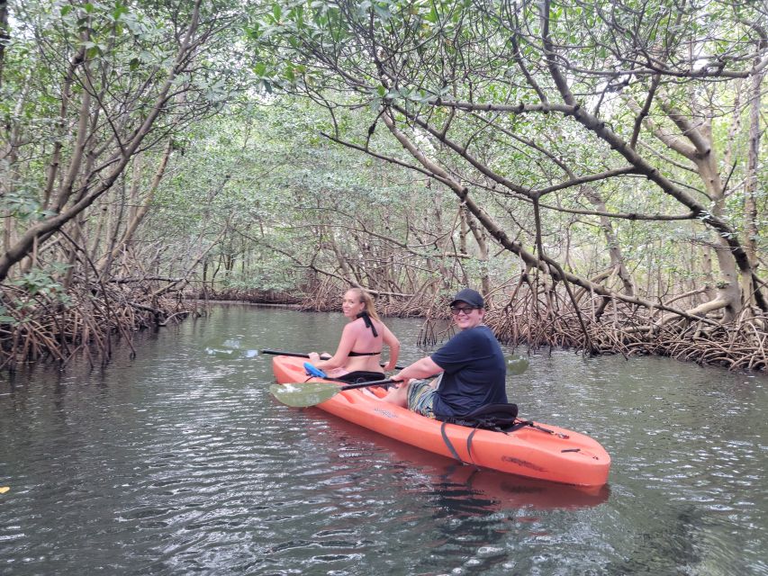 Miami: Beginner-Friendly Island Snorkeling by SUP or Kayak - Key Points