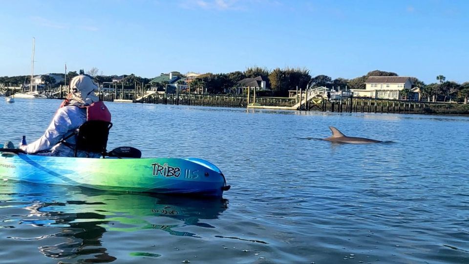 St. Augustine: Deluxe Dolphin-Watching Kayak Tour - Key Points