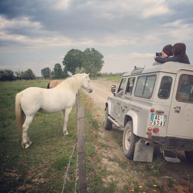 Camargue: Safari From Saintes-Maries-De-La-Mer - Tour Details