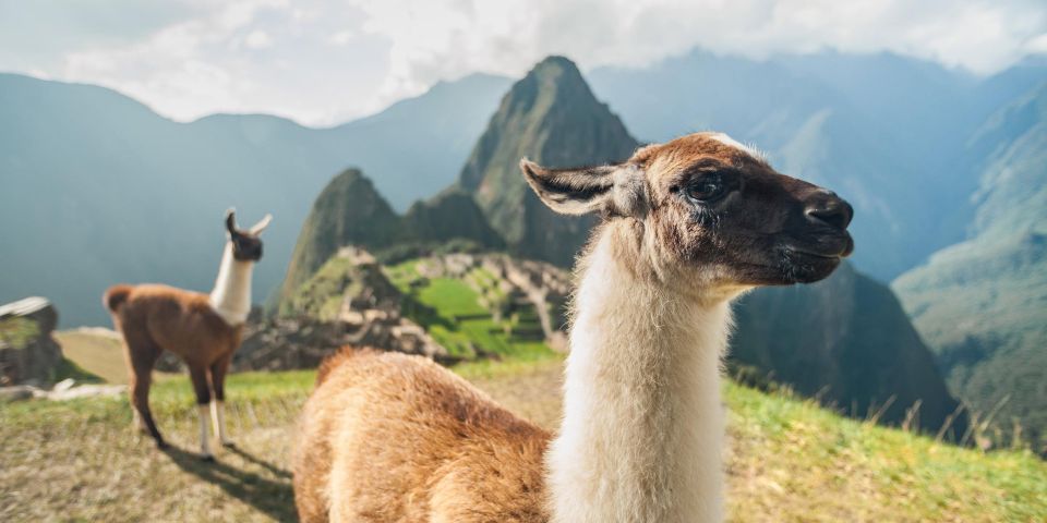 Cusco: Sacred Valley Connection With Machu Picchu 2 Days - Tour Overview