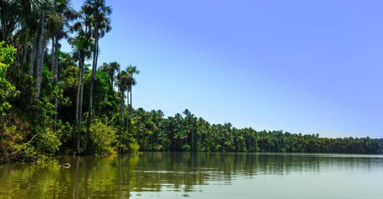 Excursion Tambopata 3 Days 2 Nights