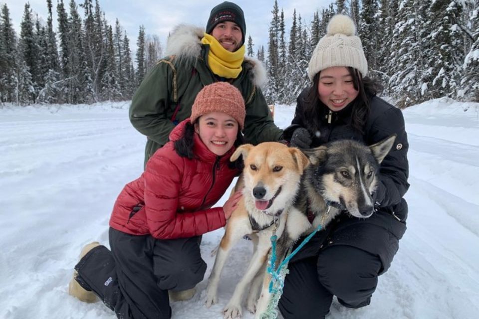 Fairbanks: Dog Sledding and Mushing Experience