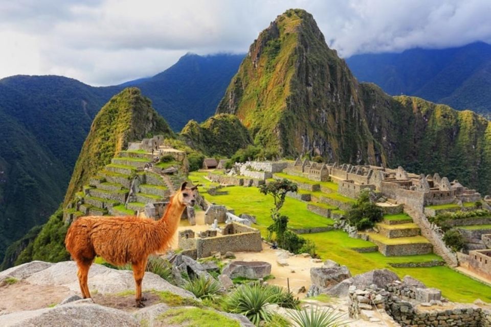 From Cusco: Discovery Machu Picchu in 1 Day Vistadome Train - Tour Details