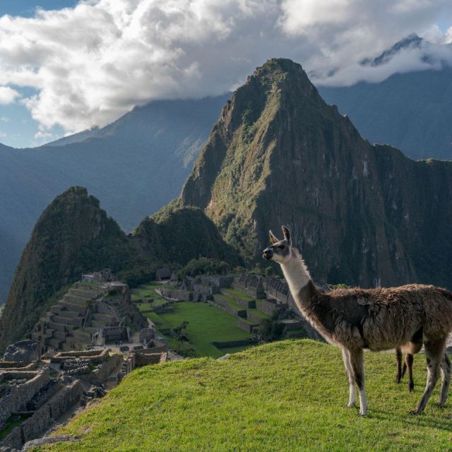 From Cusco : Machu Picchu + Huayna Picchu Mountain