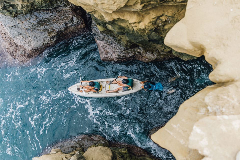 La Jolla Underwater Park: Kayak and Snorkel Tour - Tour Details