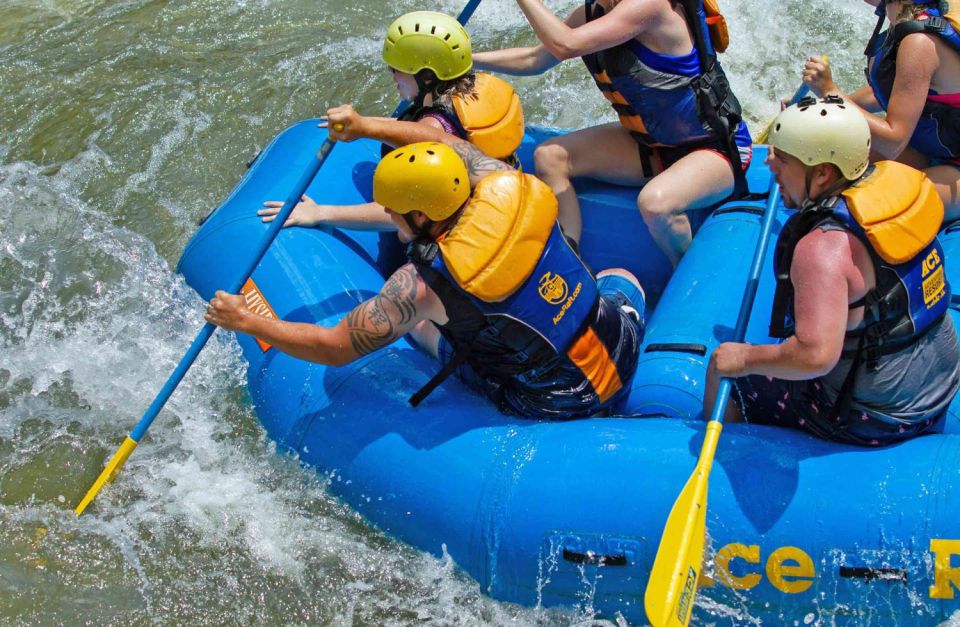 New River Gorge Whitewater Rafting - Lower New Half Day - Trip Details