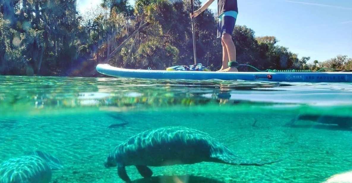 North Miami: Nature & Island Exploration on SUP/Kayak - Tour Details