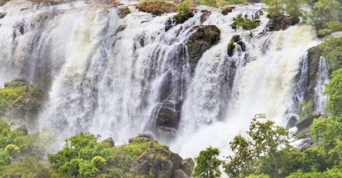 Shivanasamudra Waterfalls & Ancient Somnathpur Tour - Tour Details