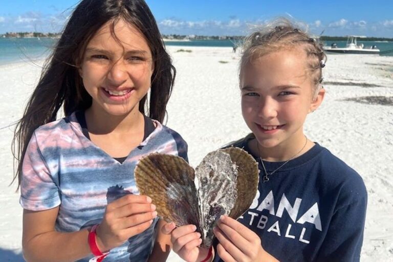 Ten Thousand Islands: Barrier Island Shelling Tour