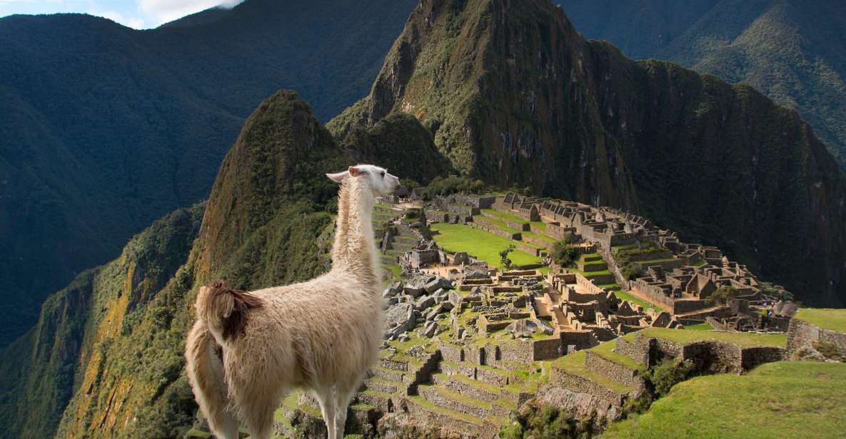 From Cusco : Machu Picchu + Huayna Picchu Mountain - Activity Description