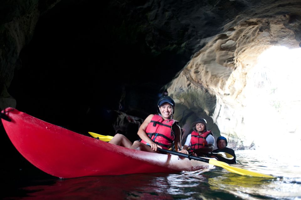 La Jolla: 2.5-Hour Kayak and Snorkel Tour - Experience Highlights