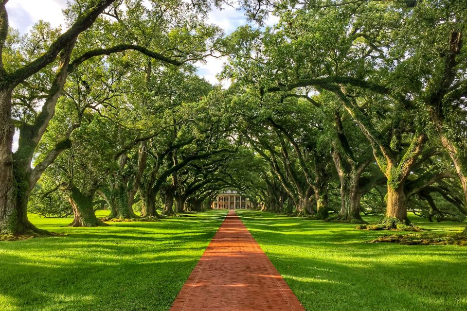 New Orleans: Oak Alley Plantation Tour With Transportation - Inclusions