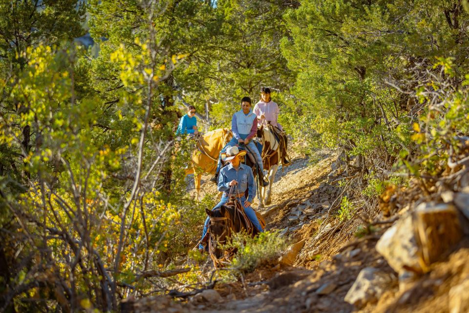 Orderville: Checkerboard Mesa Guided Sunset Horseback Ride - Important Information