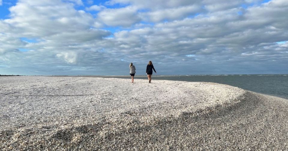 Ten Thousand Islands: Barrier Island Shelling Tour - Inclusions and Features