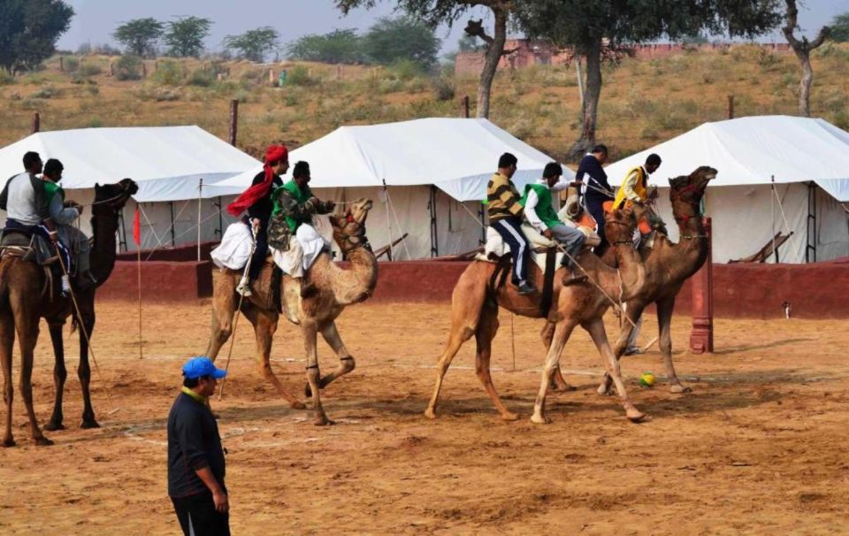 Desert Jeep Safari Tour From Jodhpur - Customer Testimonial