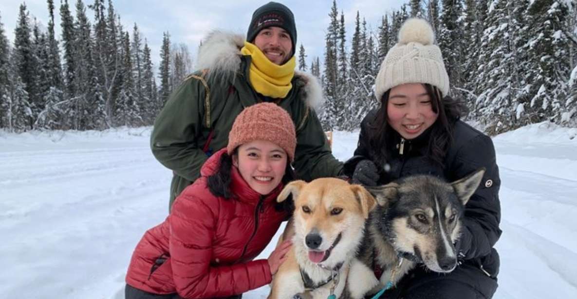 Fairbanks: Dog Sledding and Mushing Experience - Booking Information