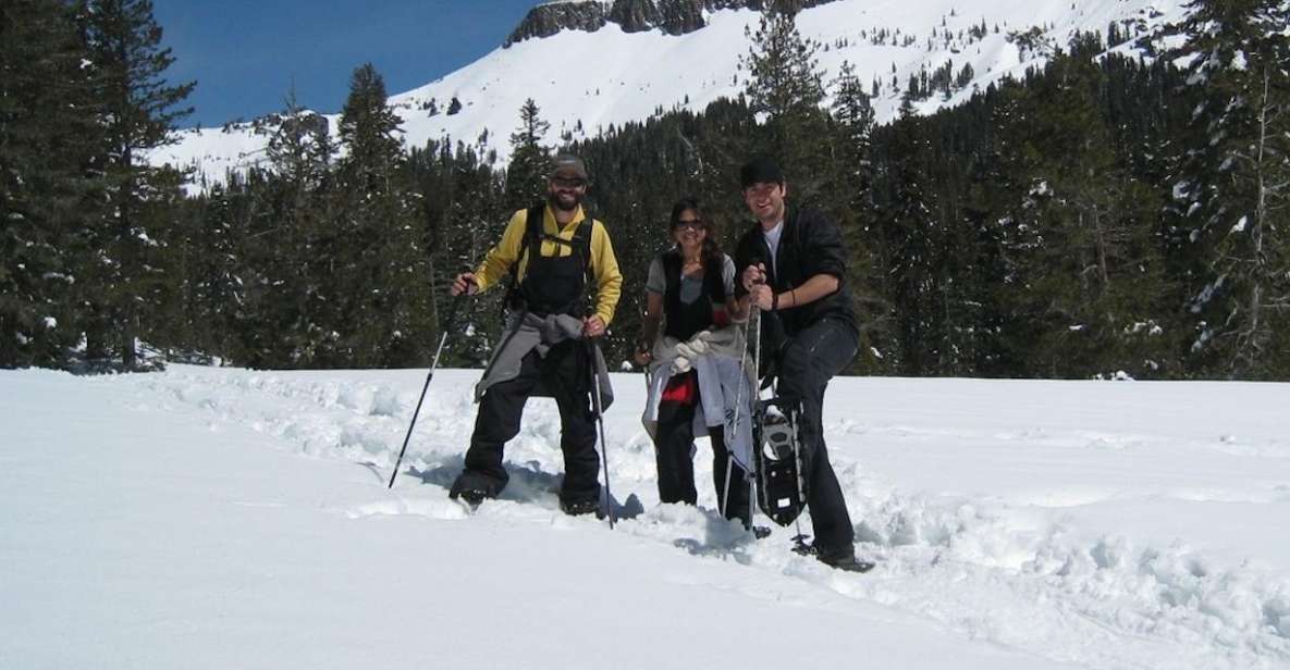 Lake Tahoe: Snowshoeing Guided Tour - Includes