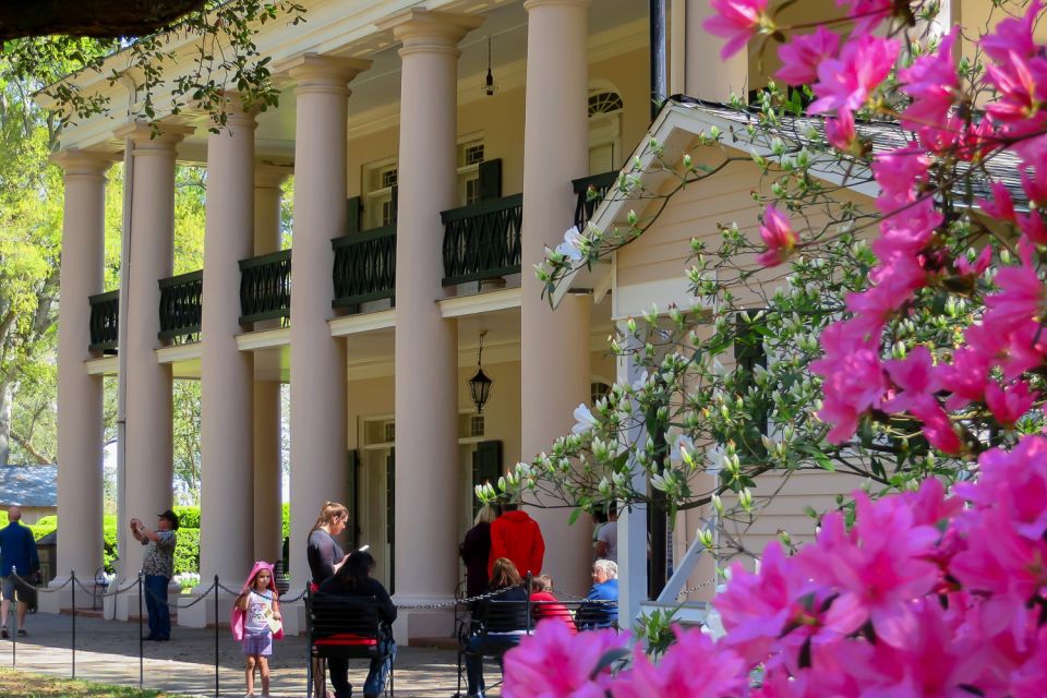 New Orleans: Oak Alley Plantation Tour With Transportation - Customer Reviews