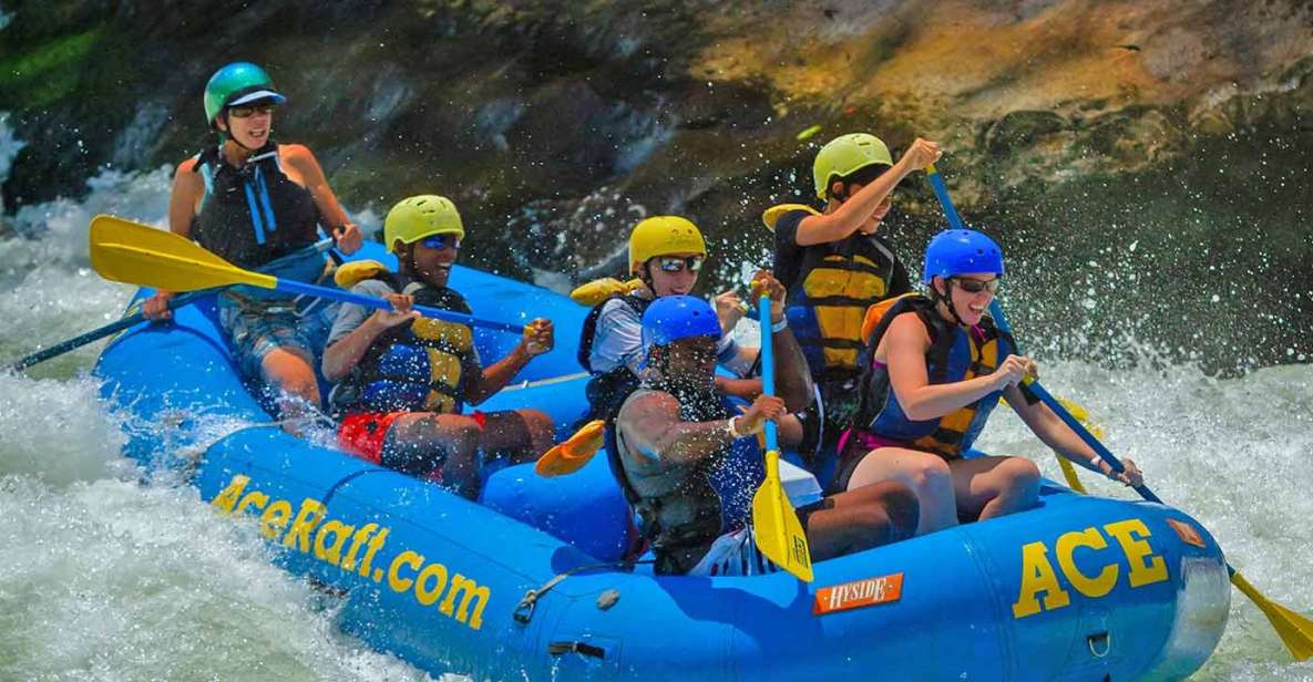 New River Gorge Whitewater Rafting - Lower New Half Day - Itinerary