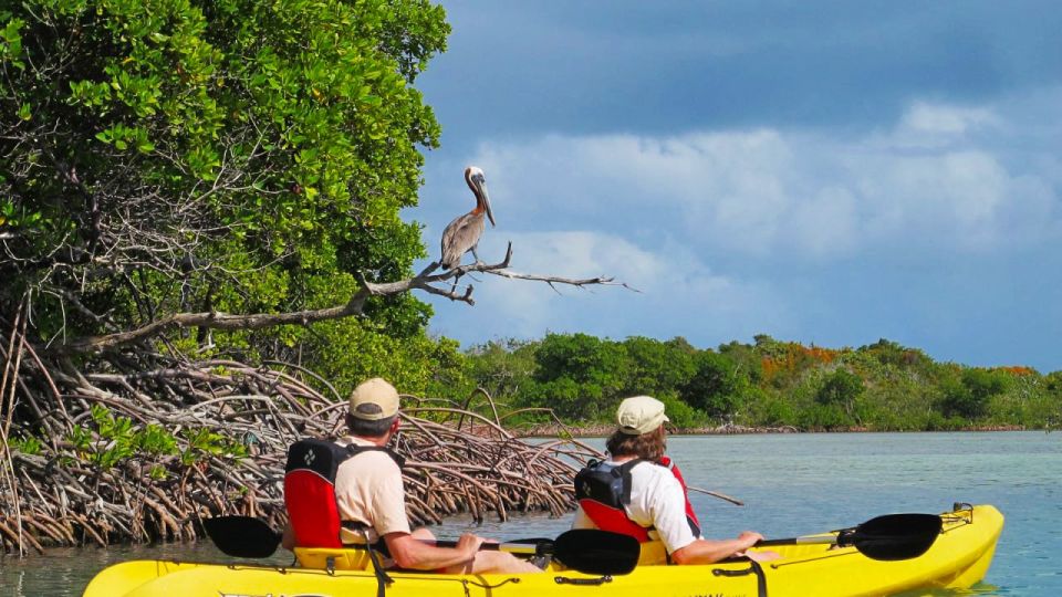 North Miami: Nature & Island Exploration on SUP/Kayak - Meeting Point & Logistics