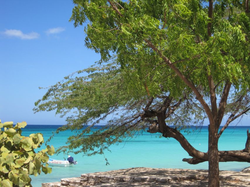 Bahía De Las Aguilas: Beach Day Trip by Boat - Pickup and Group Size