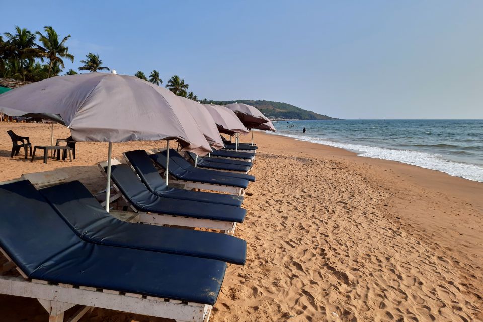 Beautiful Goa Beach Tour - Important Pet Information