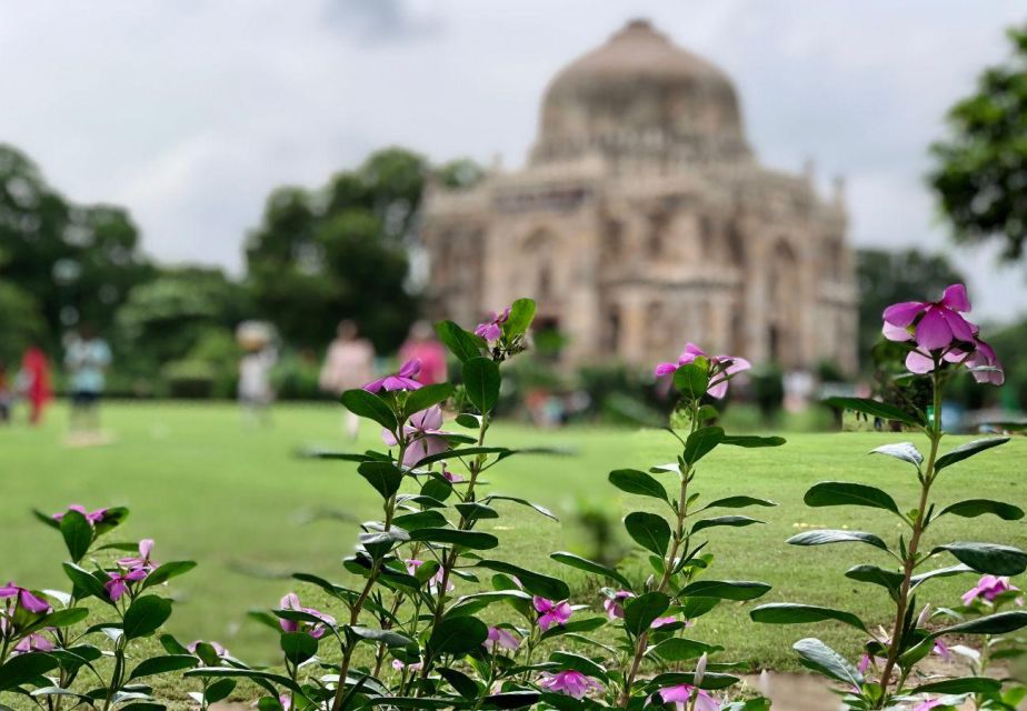 Delhi: Half-Day Private Guided City Sightseeing Tour - Tour Highlights