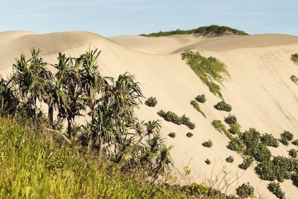 Discover Fijian Culture and Reptiles - Optional Activities