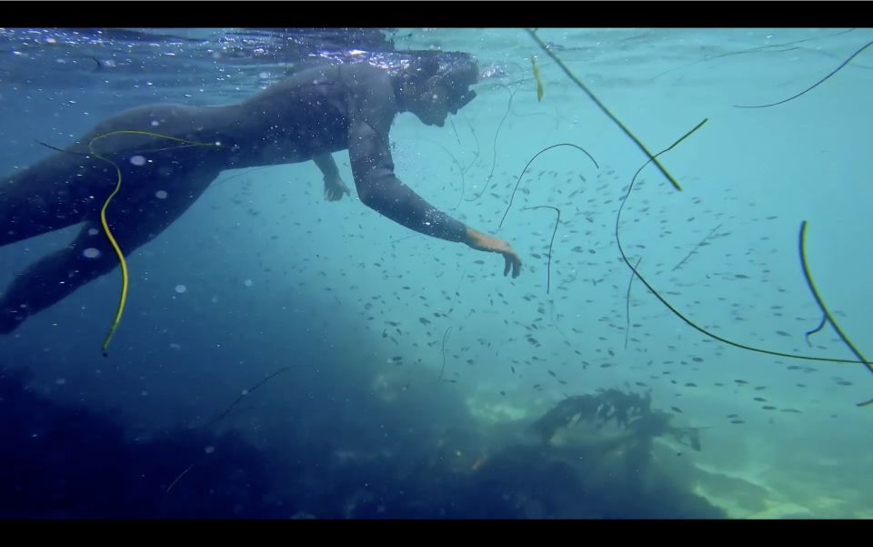 La Jolla: 2.5-Hour Kayak and Snorkel Tour - Important Information