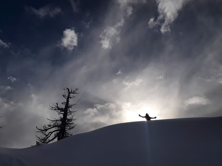 Lake Tahoe: Snowshoeing Guided Tour - Restrictions