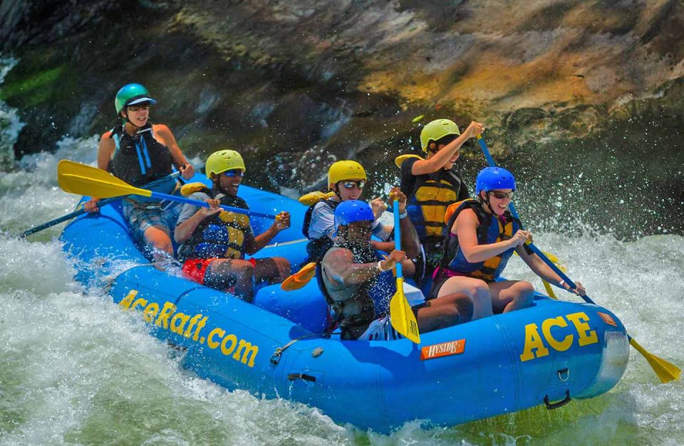 New River Gorge Whitewater Rafting - Lower New Half Day - Meeting Point