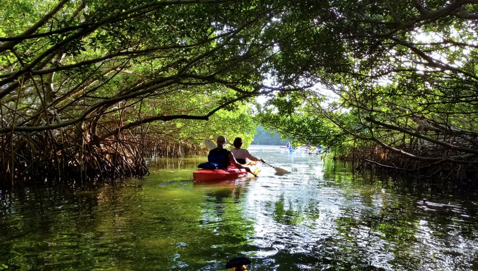 North Miami: Nature & Island Exploration on SUP/Kayak - Inclusions