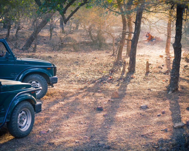 Overnight Private Tour: Jaipur - Ranthambore Tiger Safari - Directions