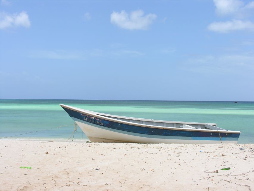 Bahía De Las Aguilas: Beach Day Trip by Boat - Experience Description