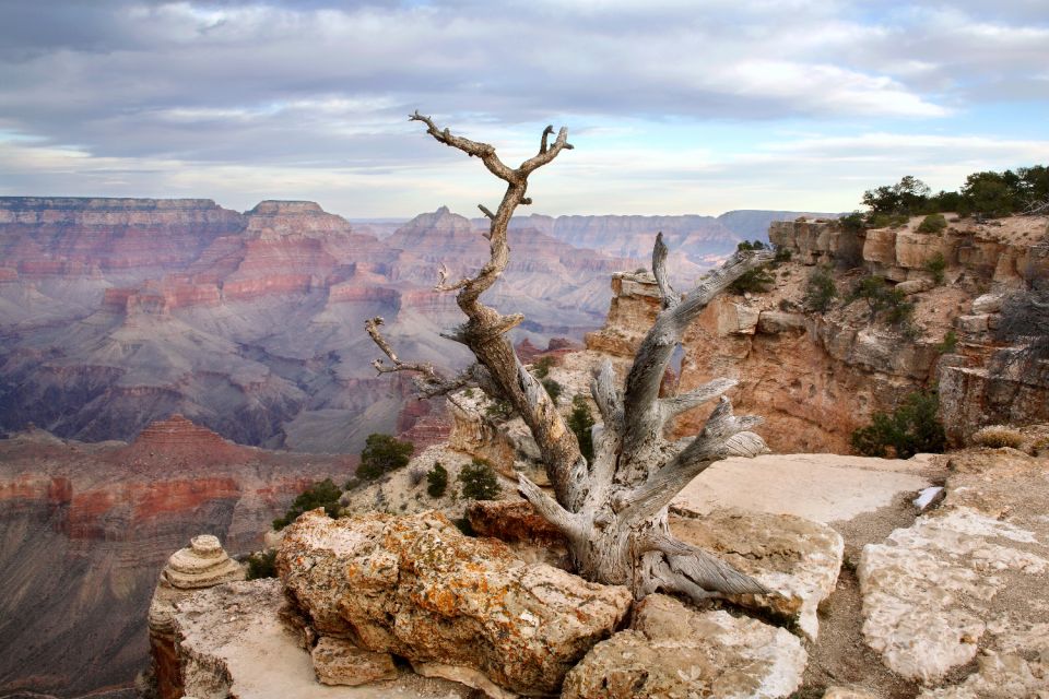 Grand Canyon: Self-Guided South Rim Tour - Inclusions and Value Proposition