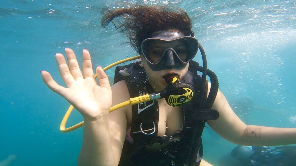 Honolulu: Beginner Scuba Diving Tour With Free Videos - Customer Reviews and Ratings