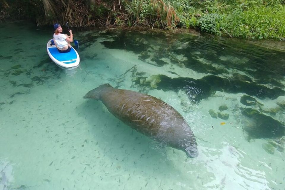 North Miami: Nature & Island Exploration on SUP/Kayak - Restrictions