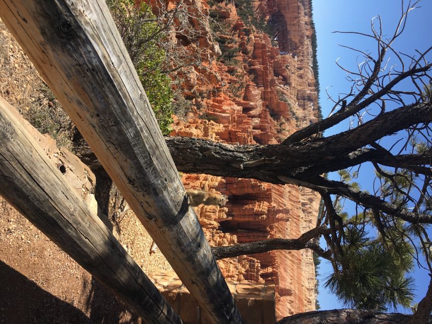 Bryce Canyon National Park: Guided E-Bike Tour - Directions