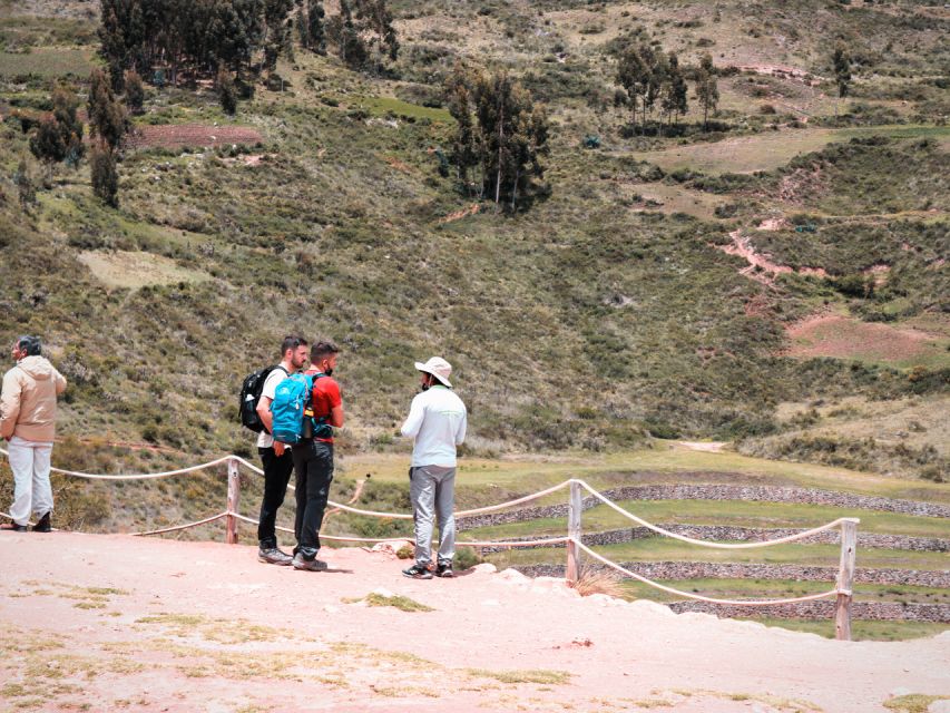 From Cusco: Machu Picchu & Sacred Valley by Panoramic Train - Customer Reviews