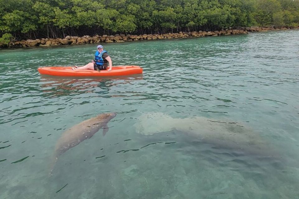 North Miami: Nature & Island Exploration on SUP/Kayak - Directions