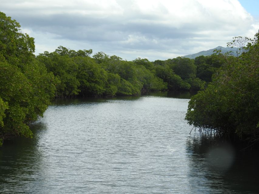 Puerto Plata: Day Trip to Cayo Arena Island by Speedboat - Directions for the Day Trip