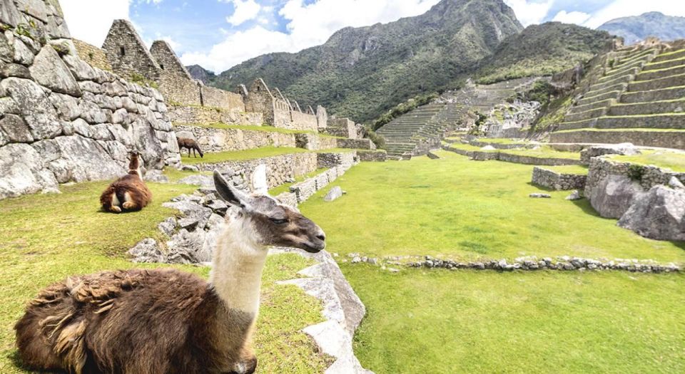 From Cusco: Machu Picchu Day Trip - Common questions