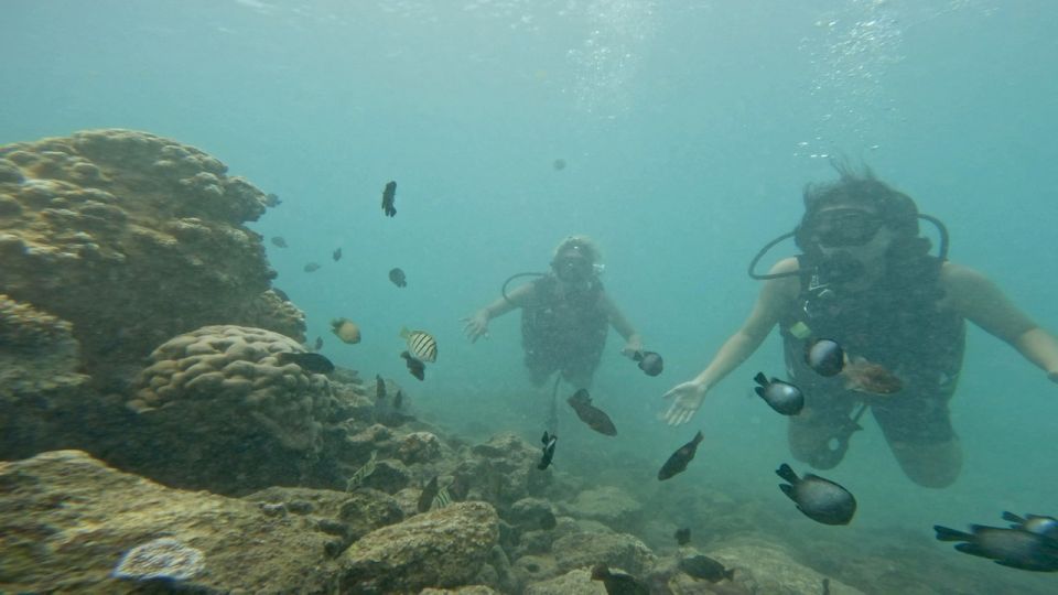 Honolulu: Beginner Scuba Diving Tour With Free Videos - Common questions