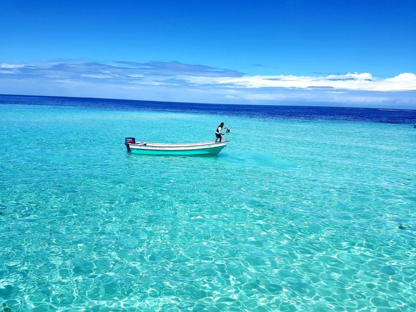 Puerto Plata: Day Trip to Cayo Arena Island by Speedboat - Reviews and Booking Details