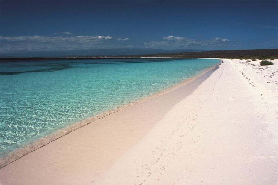 Bahía De Las Aguilas: Beach Day Trip by Boat - Directions and Recommendations