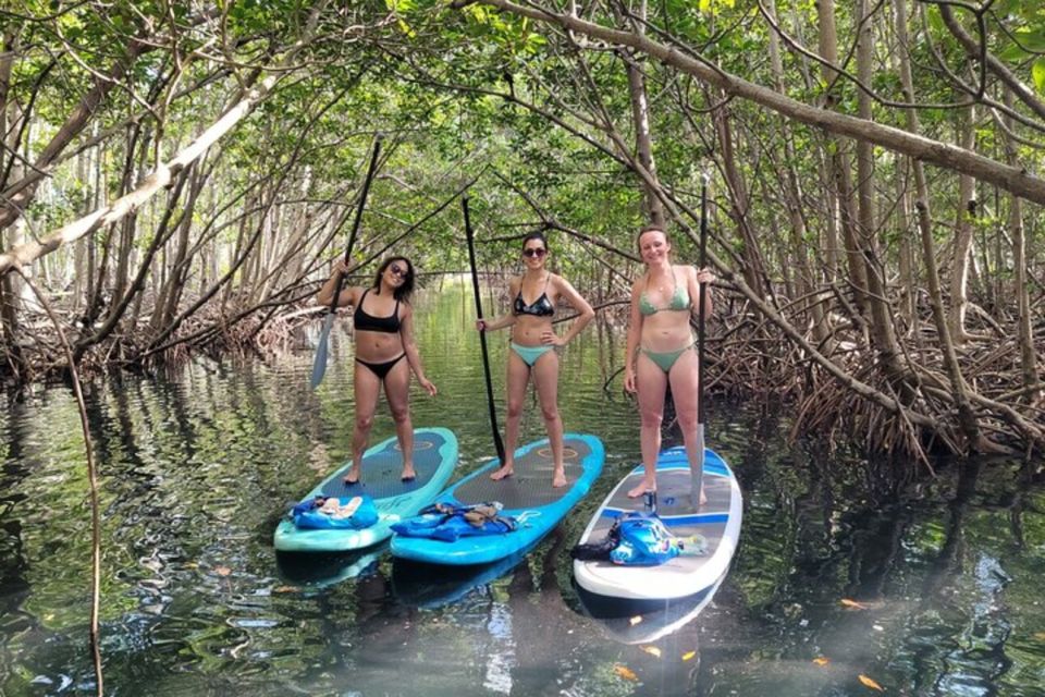 North Miami: Nature & Island Exploration on SUP/Kayak - Sum Up