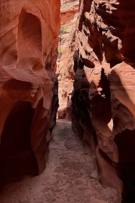 Antelope Canyon: Mountain Sheep Canyon Tour - Key Points