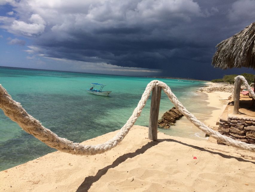 Bahía De Las Aguilas: Beach Day Trip by Boat - Key Points